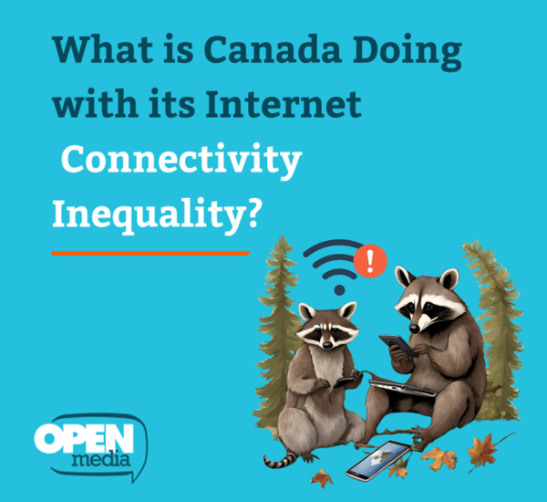 Internet Connectivity Innequality